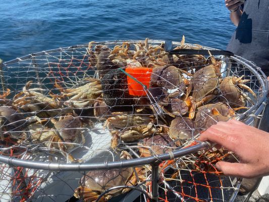 Crabbing Oregon Coast | Private 2 Hour Charter Trip 